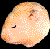 hamlove